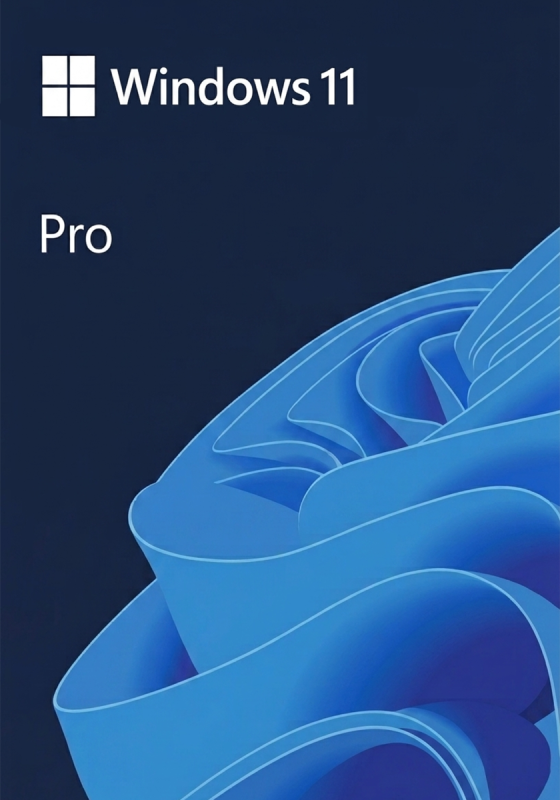 Windows 11 Pro - 1 Device - Perpetual