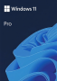 Windows 11 Pro - 1 Device - Perpetual